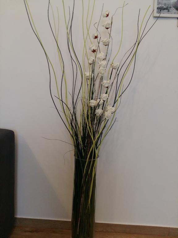 Plaza Apartment Zagreb